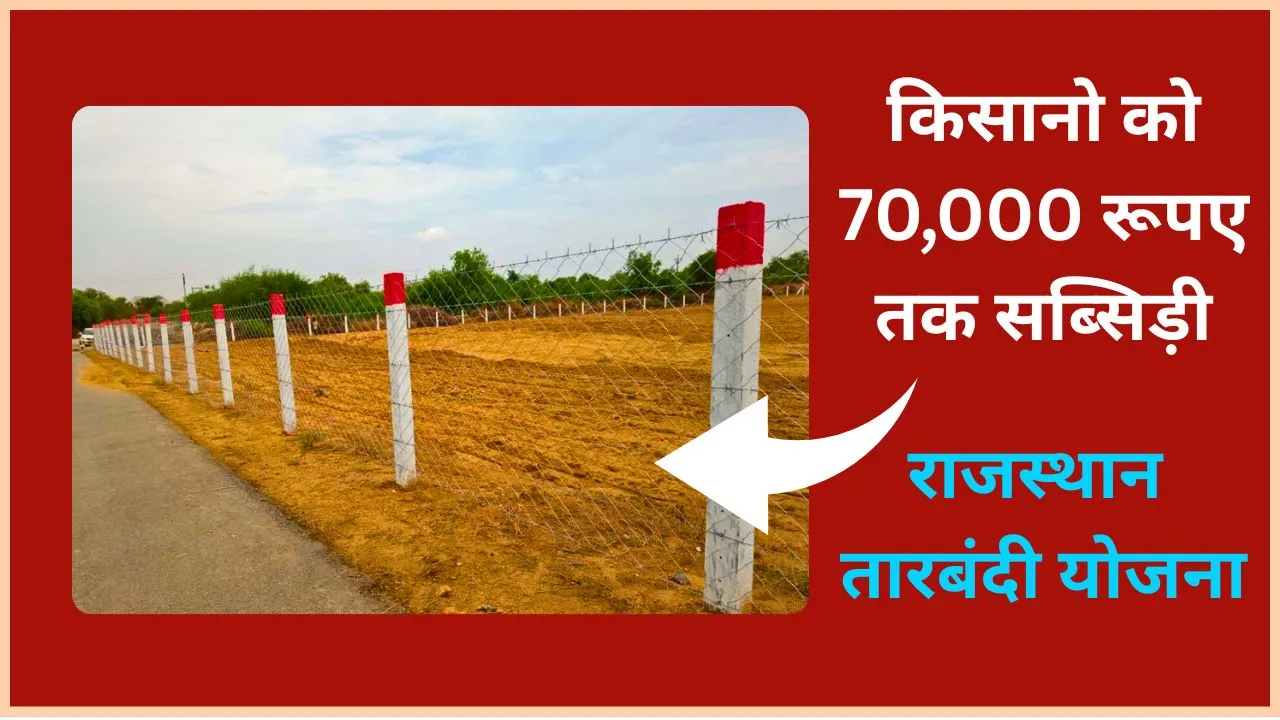 Rajasthan Tarbandi Yojana 2025